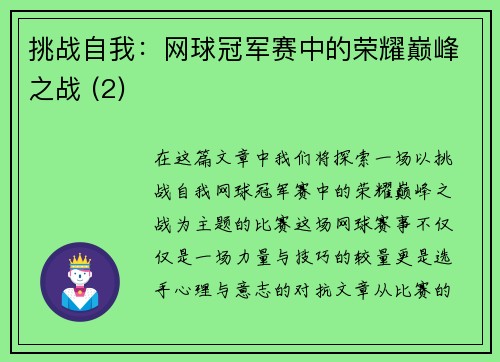 挑战自我：网球冠军赛中的荣耀巅峰之战 (2)