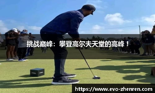 EVO真人视讯