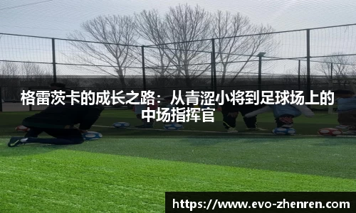 EVO真人视讯
